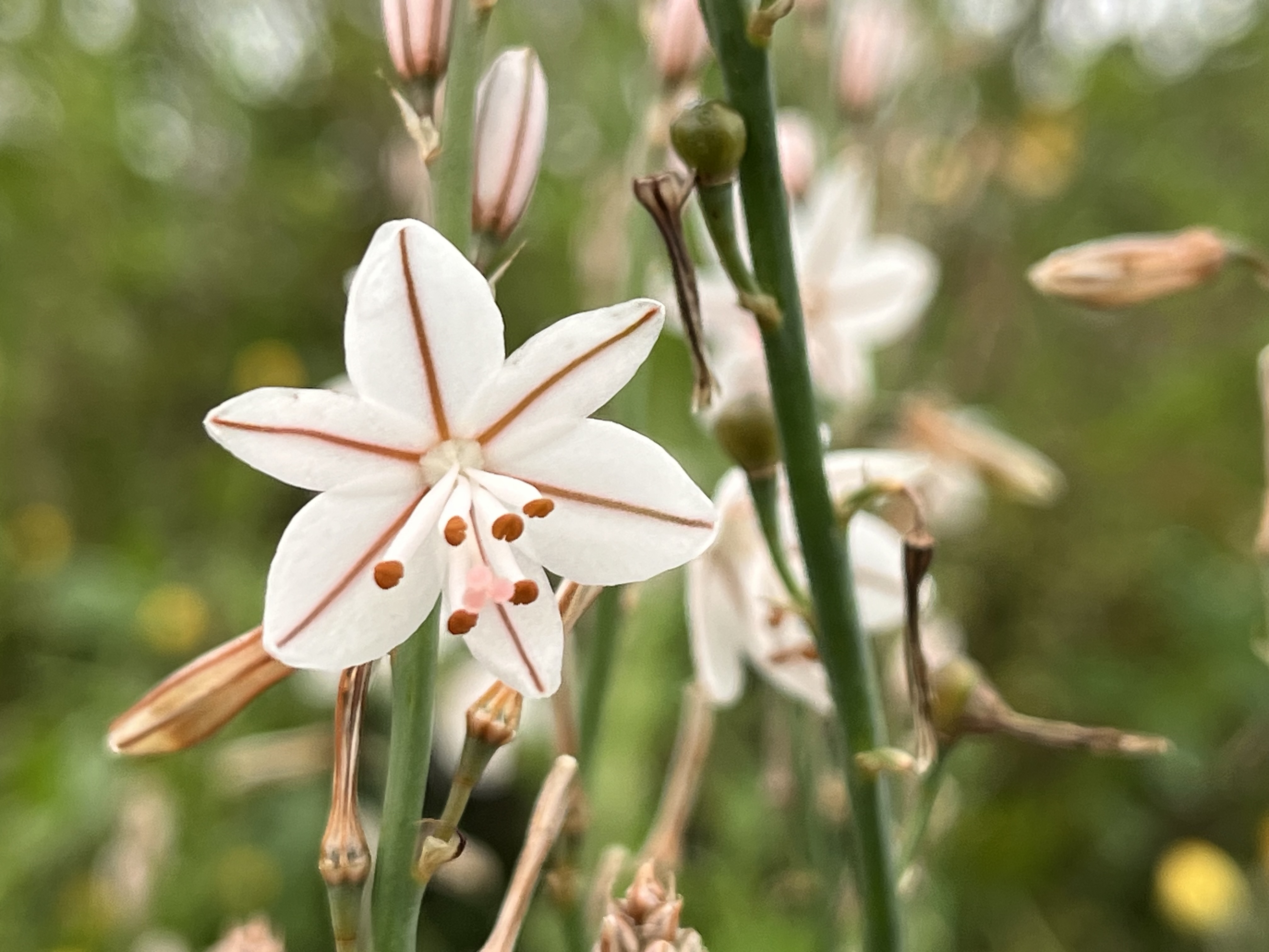 La mirada interna: un viaje hacia la autenticidad