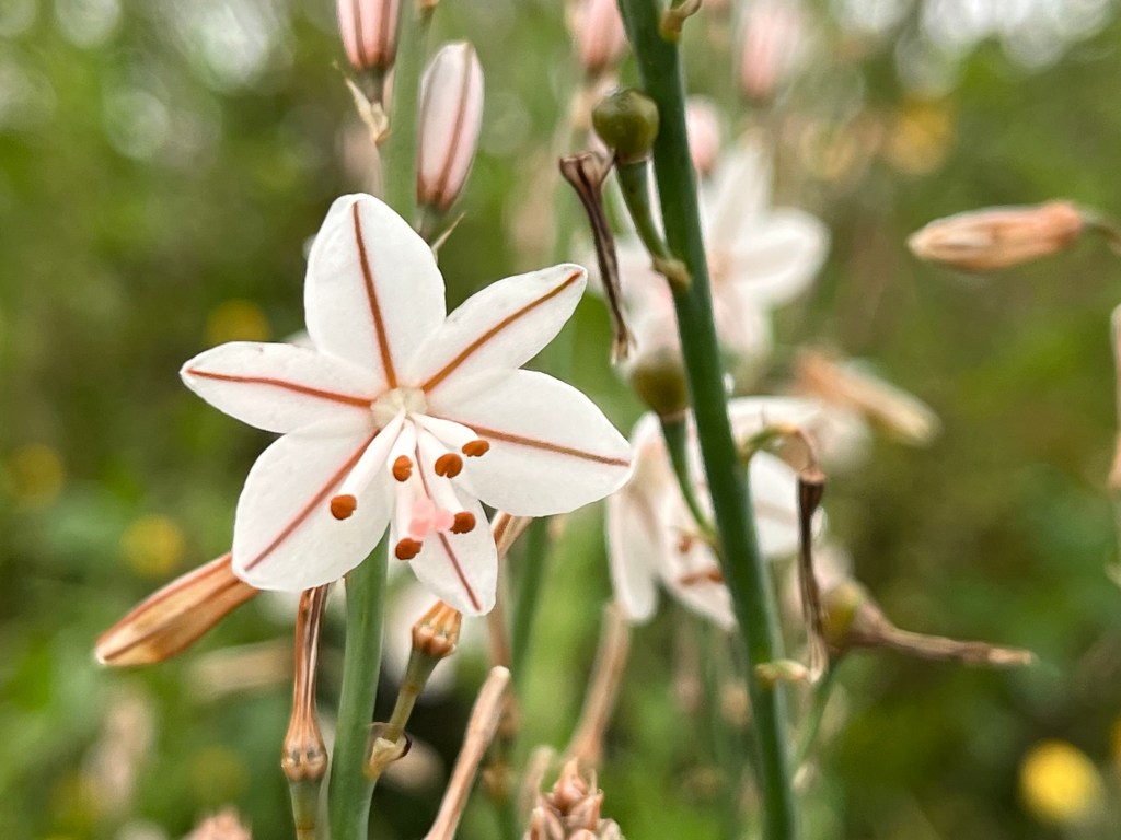 La Mirada Interna: Un Viaje hacia la&nbsp;Autenticidad
