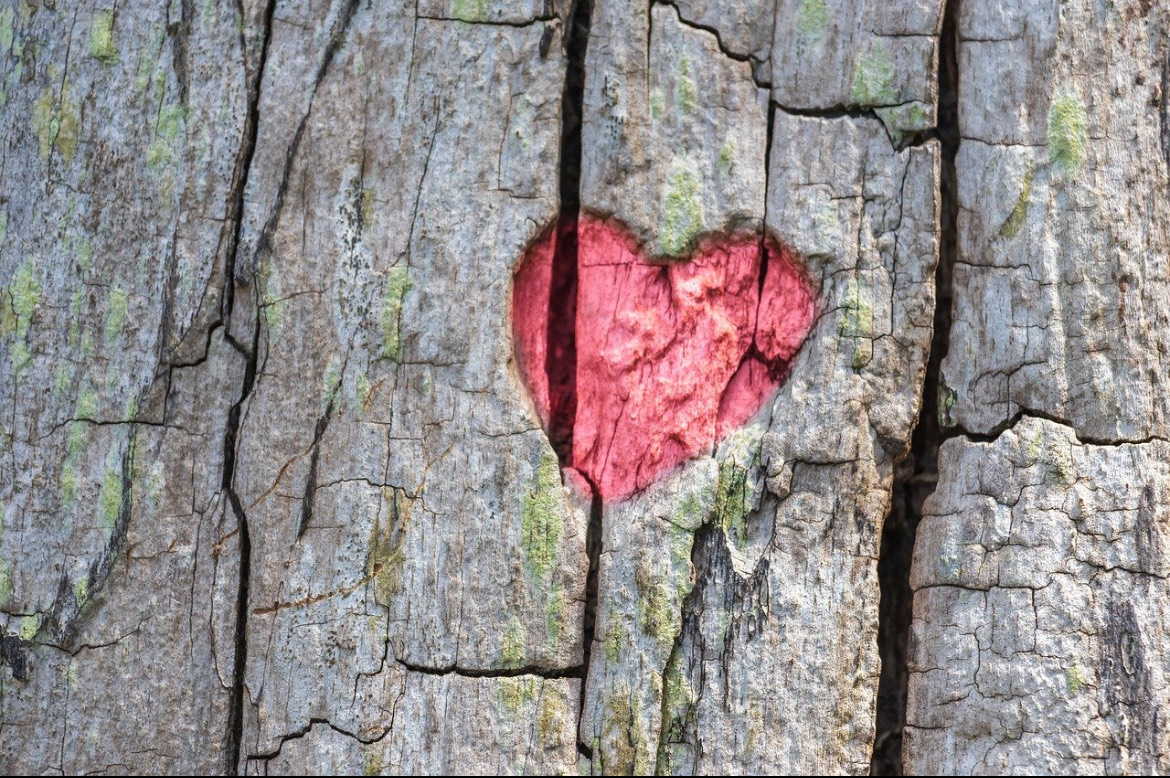 Entendiendo el resentimiento: claves para transformarlo