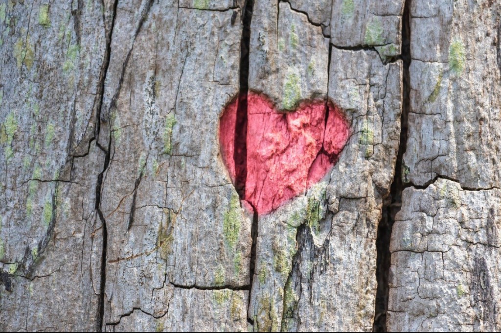 Entendiendo el Resentimiento: Claves para&nbsp;Transformarlo